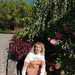 , 53, --