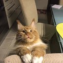���� �������, ������, 59 ��� - ��������� 13 ������ 2025 � ������ ������ ��������