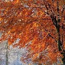  ,  , 64  -  17  2025    