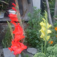 ��������, 58 ���, �����