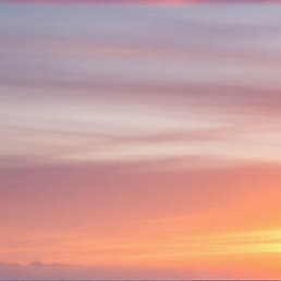 �����, ������, 38 ���