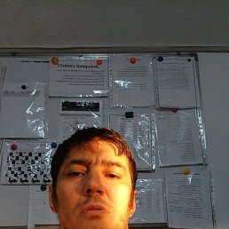 , 37, 