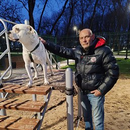 ������, 53 ����, ������