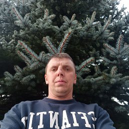 , 40, 