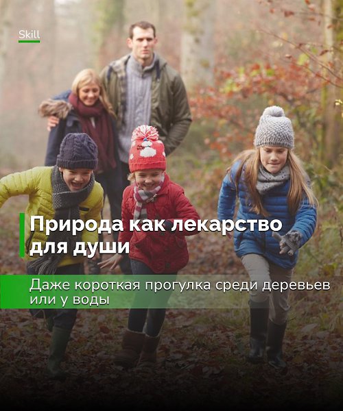 Природа работает как мягкий перезапуск для нервной системы — достаточно лишь выйти из дома, чтобы ...