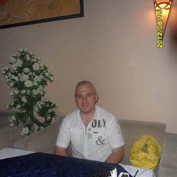, 51, 