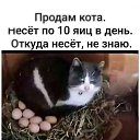 ���� ���������, �����, 52 ���� - ��������� 6 ������� 2026 � ������ ������ ��������