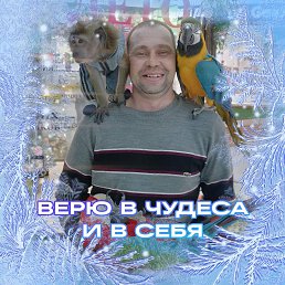 �������, 38 ���, ������