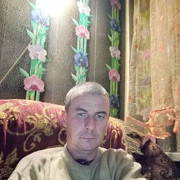 �������, 36 ���, ������