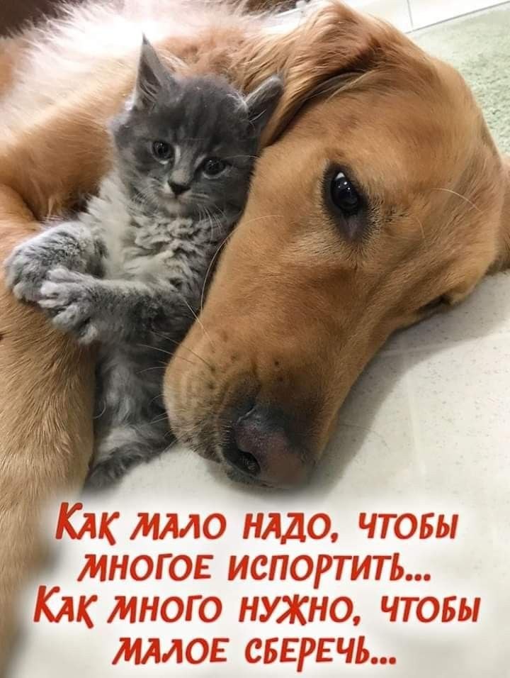 ����������. - 7 ������� 2025 � 08:22