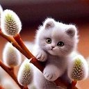 ���� ����, ���������, 37 ��� - ��������� 31 ����� 2026