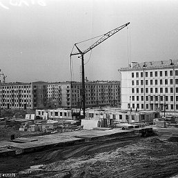 ������, ������, 55 ���