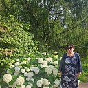 ���� ���������, �����-��������� - ��������� 5 ������� 2024 � ������ ���� ����������