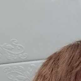 ������, ���������, 19 ���