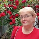 ���� �����, ������������ - ��������� 14 ������� 2026 � ������ ���� ����������