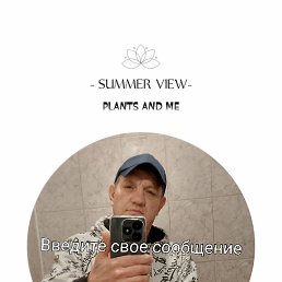, 44, 