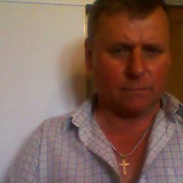 , 61, 