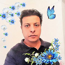���� Hakim, ����������, 43 ���� - ��������� 27 �������� 2025