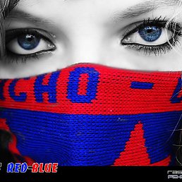 ˸��-�, �����������, 44 ����