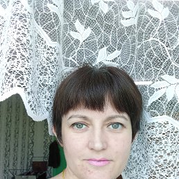 , 37, 