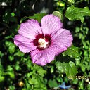 ���� ������, ��������� - ��������� 3 ������� 2025 � ������ ������ �� �����