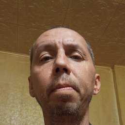 , , 46 