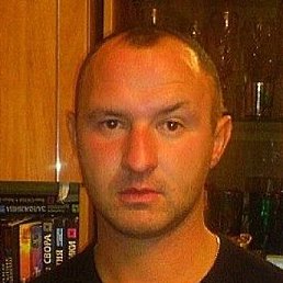 ������, �������, 41 ���