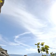 ��������, 37 ���, ������