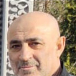, 56, 