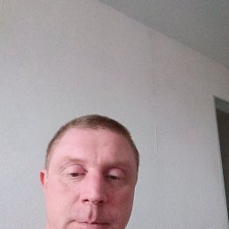 ����, 39 ���, ����������