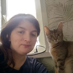 ���� ��������, �����������, 34 ���� - ��������� 17 ������� 2026