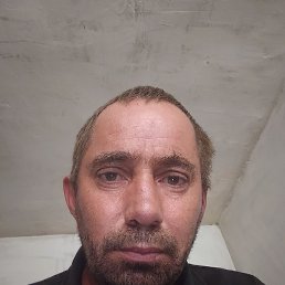 , 38, 