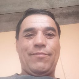 , , 46 