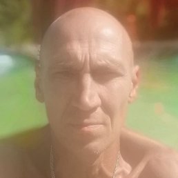 �������, ������, 46 ���