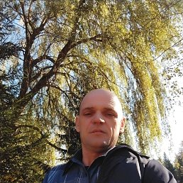 ���� �����, �����, 45 ��� - ��������� 4 ������� 2023