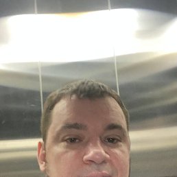 ��������, 41 ���, ����