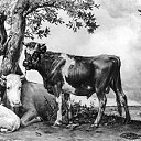 ���� �����, ������������, 77 ��� - ��������� 9 ������� 2025 � ������ ������ ��������