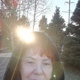 , 65, 