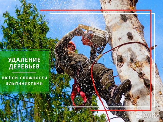 �������� ��������� ������������ - 18 ������� 2026 � 19:46 - 3