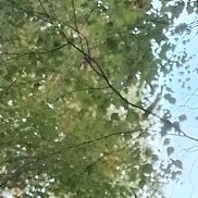 , 49 , 