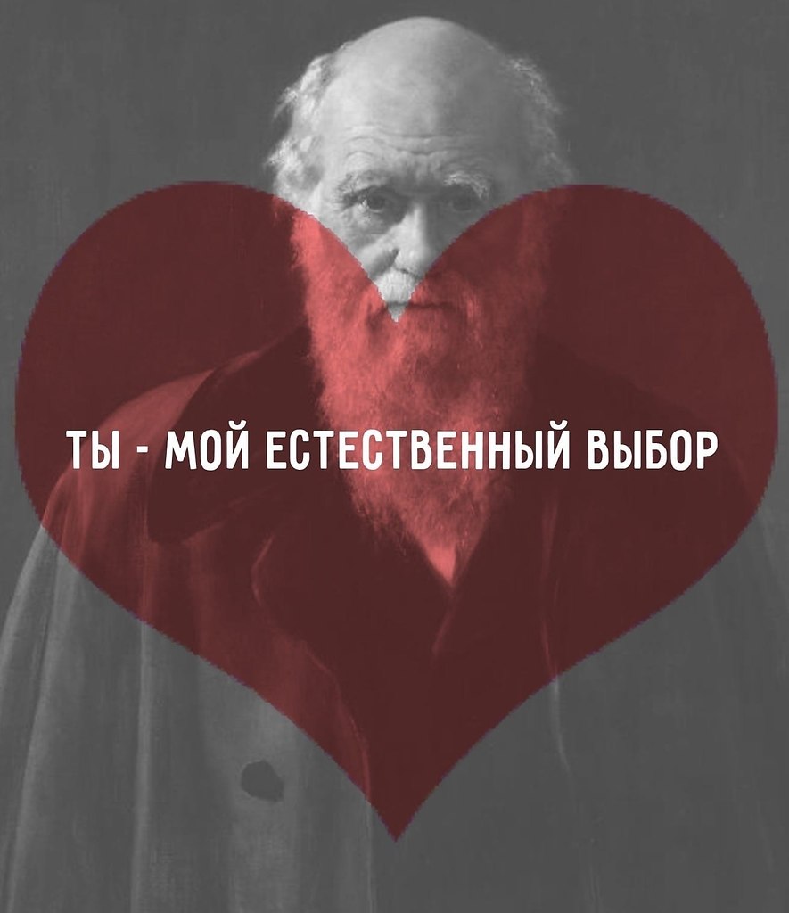     . - 3