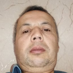 ������, ������, 49 ���