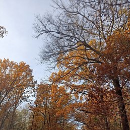 ����, ������, 49 ���