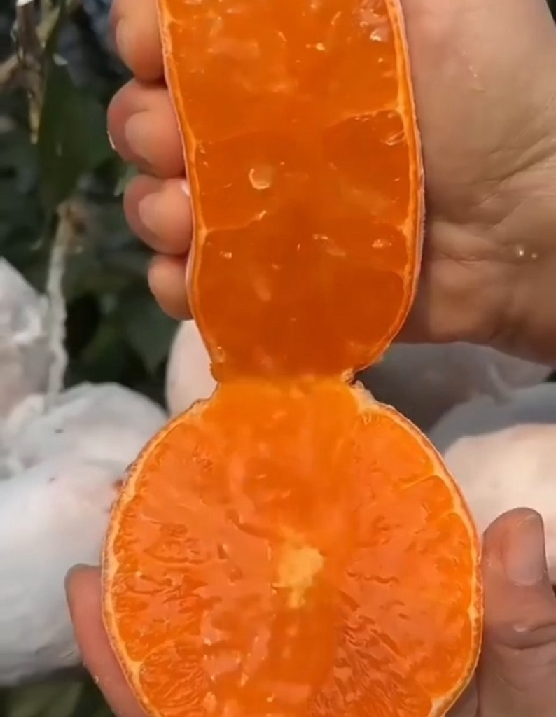 �����������, �������� - 2