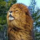 ���� ��������, ��������, 67 ��� - ��������� 10 ������ 2026