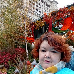 ����� �������, 43 ����, ���������