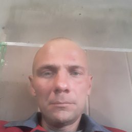 ���� ������, �������, 42 ���� - ��������� 3 ������� 2024