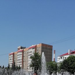 �������, ������, 46 ���