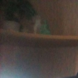 ������, ������, 44 ����