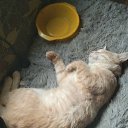 ���� ��������, ������ - ��������� 26 ������� 2026 � ������ ������ ��������